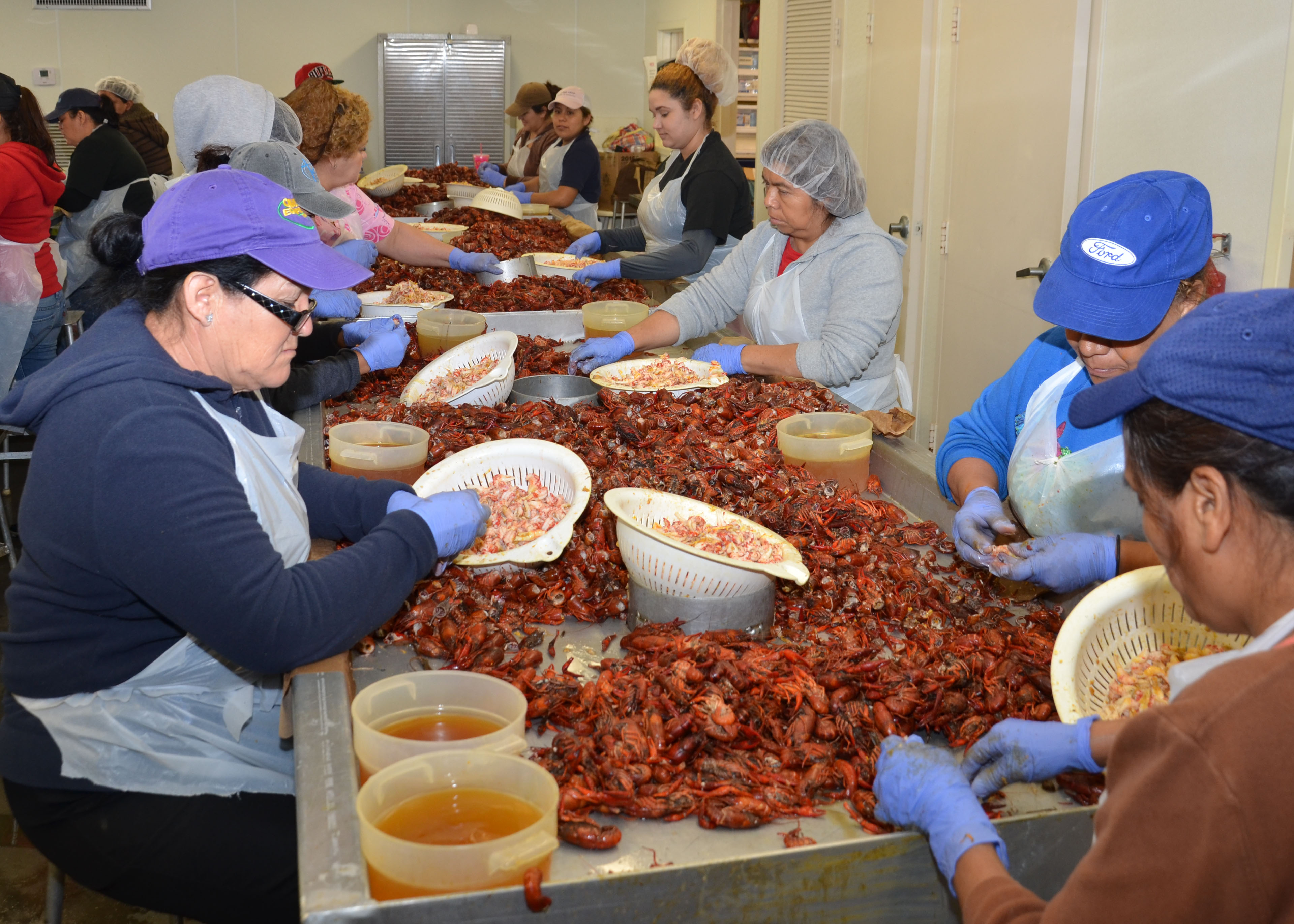 H-2B Worker Program and the Louisiana Seafood Processing Industry